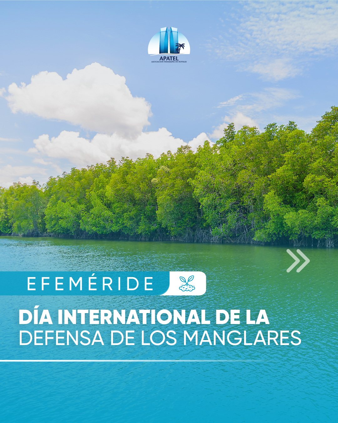 Los manglares, barreras naturales