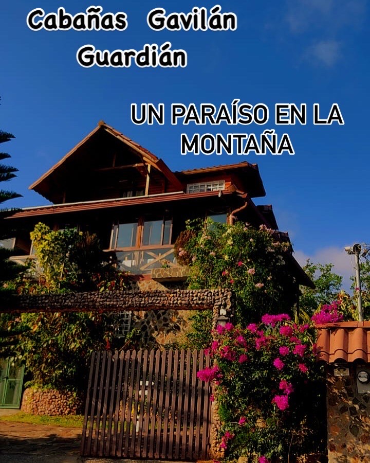 D57A1E19-B297-4BBB-B46A-8B930A71228B