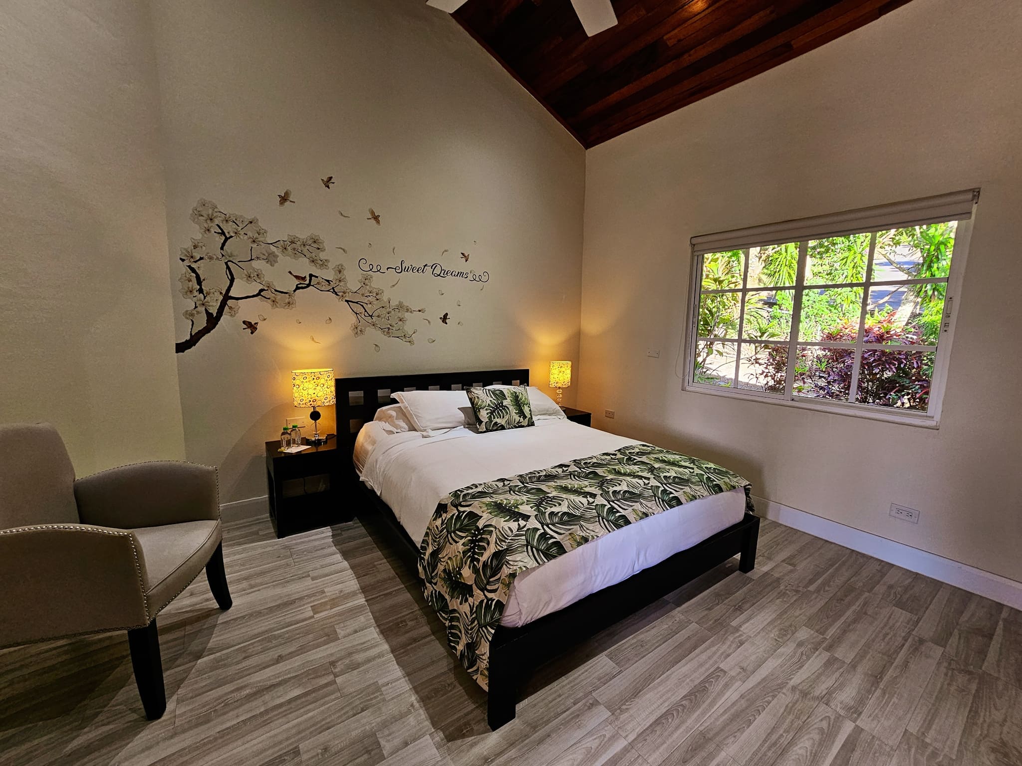 IMG_20240210_174909_688