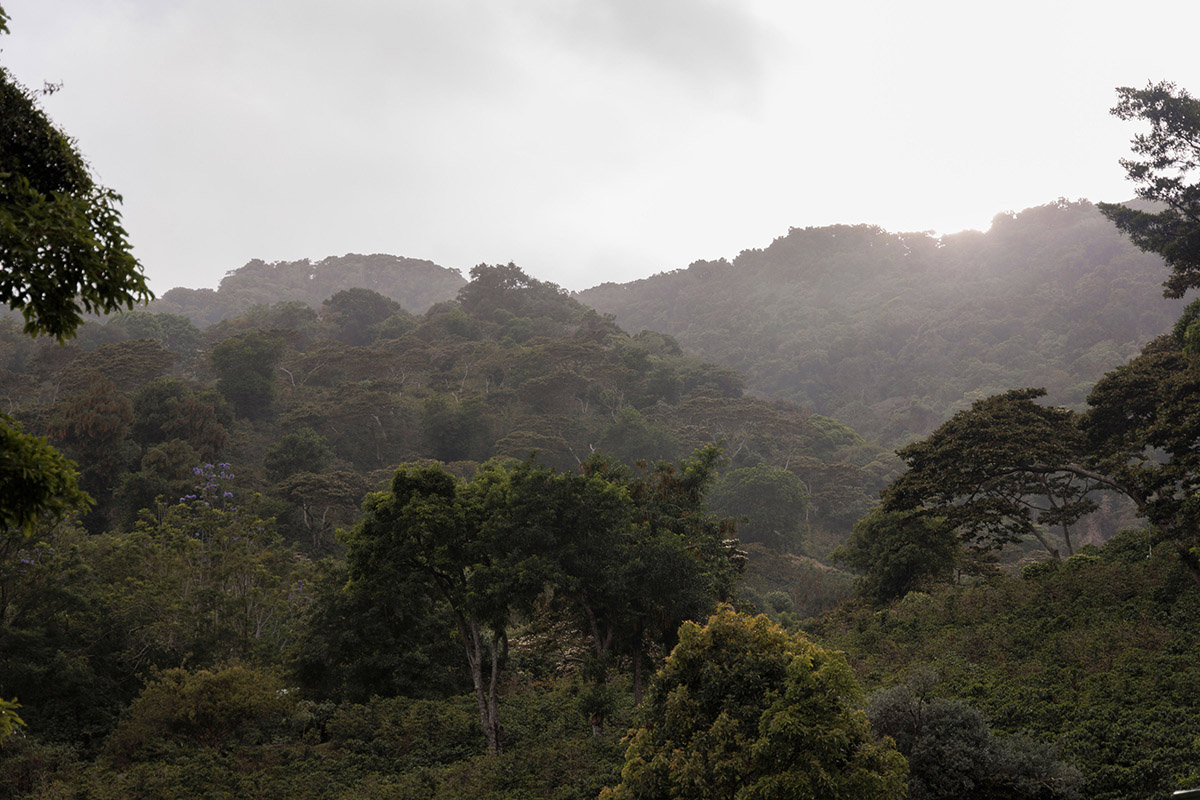 Lerida_GeneralOthers-176