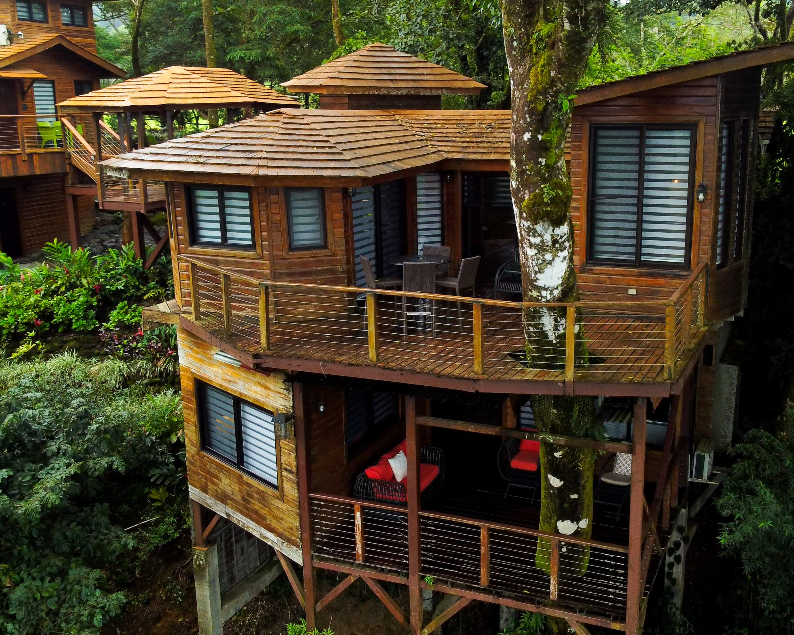 Tree House_1.22.1 (1)